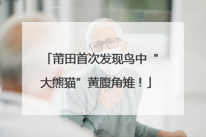 莆田首次发现鸟中“大熊猫”黄腹角雉!